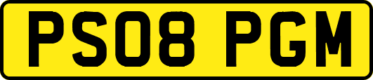 PS08PGM