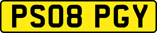 PS08PGY