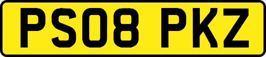 PS08PKZ