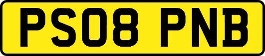 PS08PNB