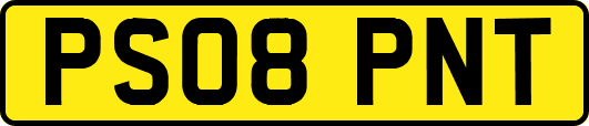 PS08PNT