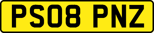 PS08PNZ