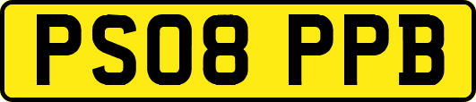 PS08PPB