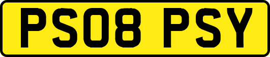 PS08PSY