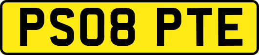 PS08PTE