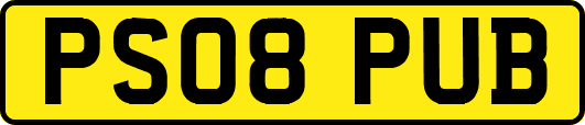 PS08PUB