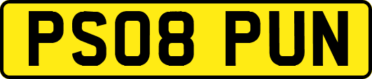 PS08PUN