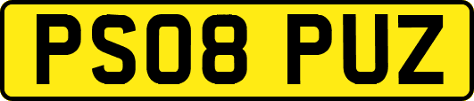 PS08PUZ