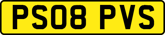 PS08PVS