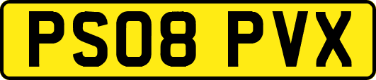 PS08PVX