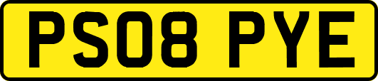 PS08PYE