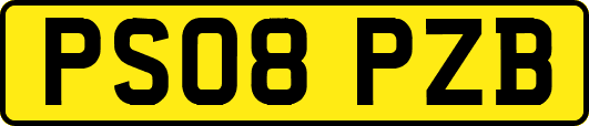 PS08PZB