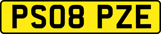 PS08PZE