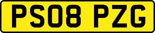 PS08PZG