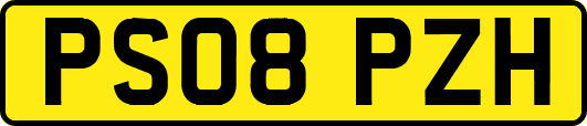 PS08PZH