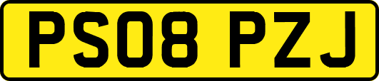 PS08PZJ