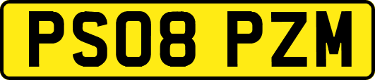 PS08PZM