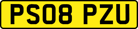 PS08PZU