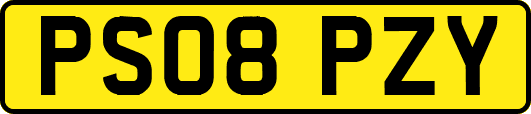 PS08PZY