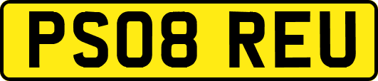PS08REU