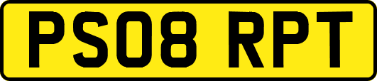 PS08RPT