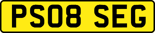 PS08SEG