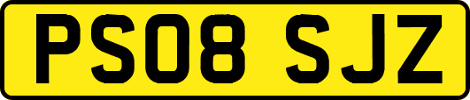 PS08SJZ