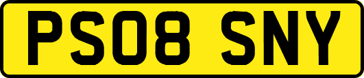 PS08SNY