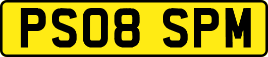 PS08SPM
