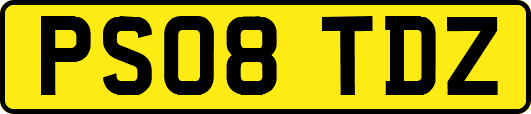 PS08TDZ