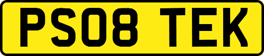 PS08TEK