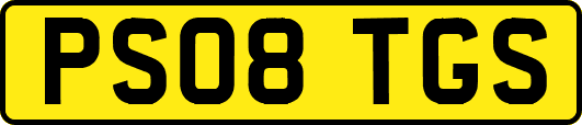 PS08TGS