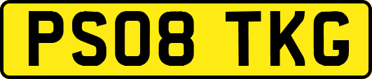 PS08TKG