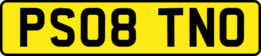 PS08TNO
