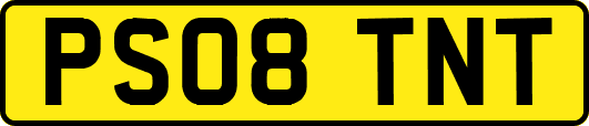 PS08TNT