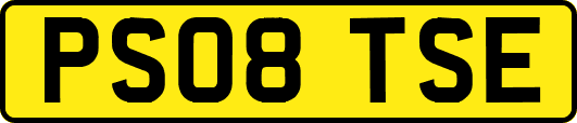 PS08TSE