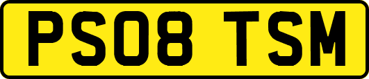 PS08TSM