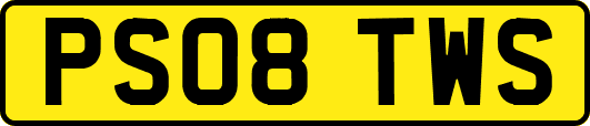 PS08TWS