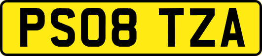 PS08TZA