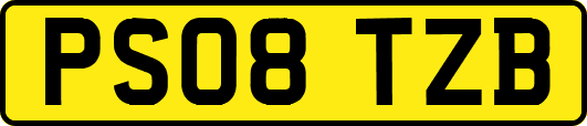 PS08TZB
