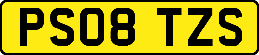 PS08TZS