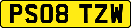 PS08TZW