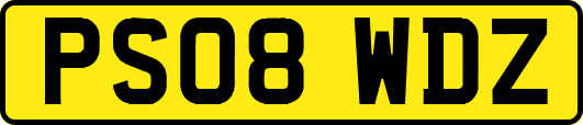 PS08WDZ