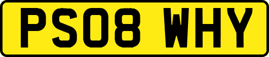 PS08WHY