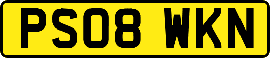 PS08WKN