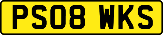 PS08WKS