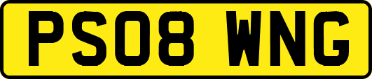 PS08WNG
