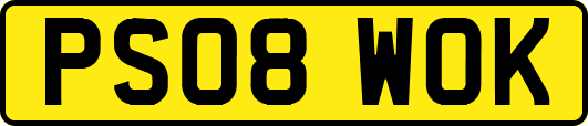 PS08WOK