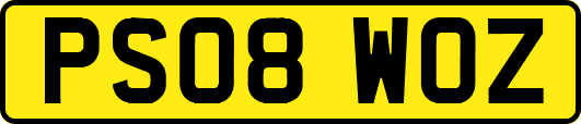 PS08WOZ