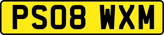 PS08WXM